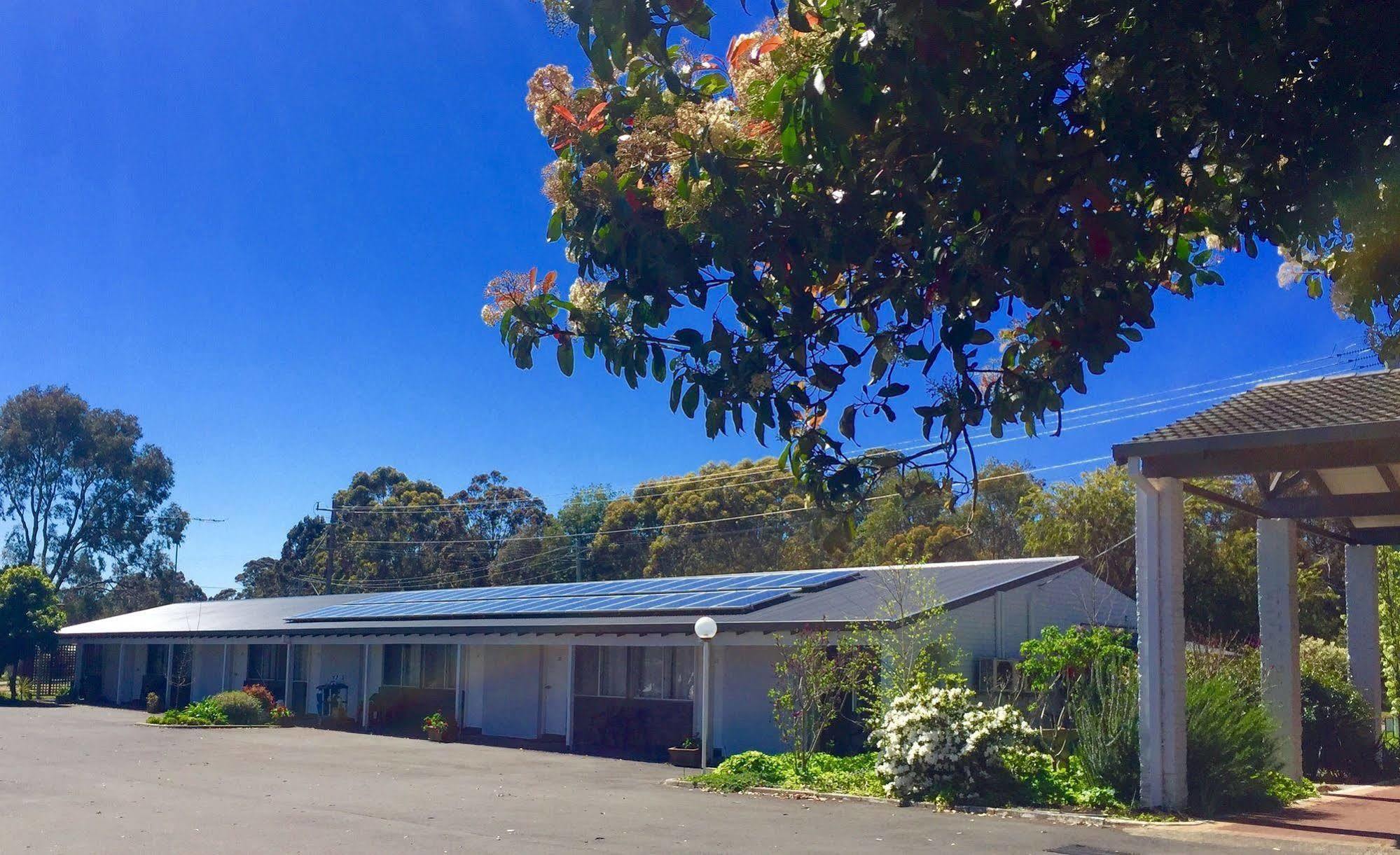 Manjimup Kingsley Motel ภายนอก รูปภาพ